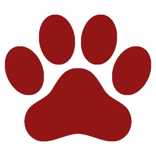 Home - ONG CãoDomínio